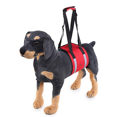 Tragehilfe Für Hunde Tragehilfe Hund Geschirr für alte und verletzte Hunde Pet Sling Carrier Hundestützgurt für die Hinterbeine Reflective-red,56 von PLUS PO