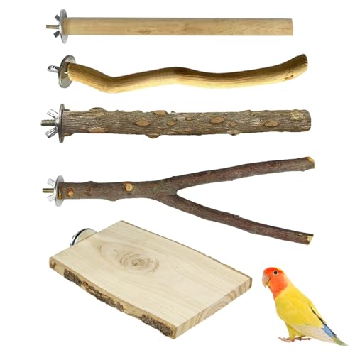 Vogel-Sitzstangen aus Naturholz, für Papageien, Sittiche, Sitzstangen, Vogelkäfig, Ast, Papageien-Sitzstangen, Käfigzubehör für Sittiche, Nymphensittiche, 5 Stück Vogel-Sitzstangen aus Naturholz, für Papageien, Sittiche, Sitzstangen, Vogelkäfig, Ast, Papageien-Sitzstangen, Käfigzubehör für Sittiche, Nymphensittiche, 5 Stück von PLUSHCEWT