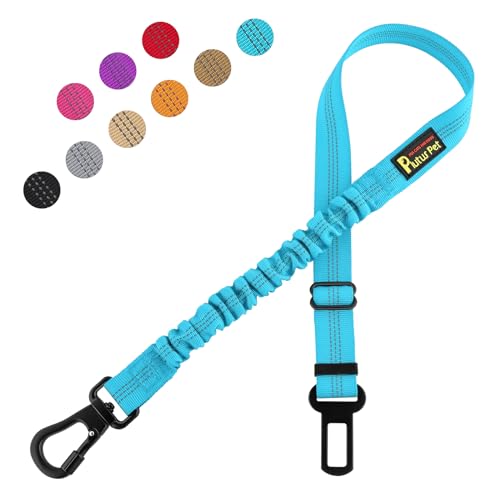 Plutus Pet Hunde-Sicherheitsgurt für Auto, verstellbares Hundegeschirr mit Karabiner-Clip, reflektierende Sicherheits-Hundesicherheitsgurt-Leine mit elastischem Bungee, Cyan Plutus Pet Hunde-Sicherheitsgurt für Auto, verstellbares Hundegeschirr mit Karabiner-Clip, reflektierende Sicherheits-Hundesicherheitsgurt-Leine mit elastischem Bungee, Cyan von PLUTUS PET