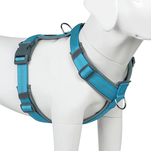 Plutus Pet Hundegeschirr, Verstellbares Hundegeschirr aus Nylon mit weicher Polsterung, reflektierend und strapazierfähig Hundegeschirr für kleine, mittelgroße und große Hunde(Cyan, XL) von PLUTUS PET