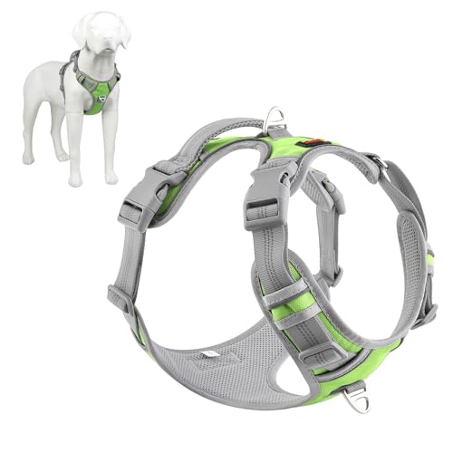 Plutus Pet Hundegeschirr, kein Ziehen, am Hals zu lösen, reflektierend, verstellbar, leicht zu kontrollieren, Griff zum Spazierengehen, für kleine, mittelgroße und große Hunde, Grün, M Plutus Pet Hundegeschirr, kein Ziehen, am Hals zu lösen, reflektierend, verstellbar, leicht zu kontrollieren, Griff zum Spazierengehen, für kleine, mittelgroße und große Hunde, Grün, M von PLUTUS PET