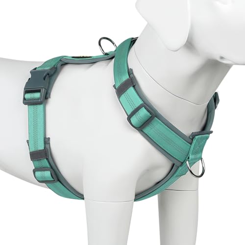 Plutus Pet Hundegeschirr, verstellbares Hundegeschirr aus Nylon mit weicher Polsterung, reflektierend und strapazierfähig Hundegeschirr für kleine, mittelgroße und große Hunde (Blaugrün, M) von PLUTUS PET