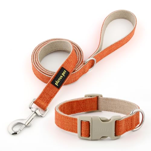 Plutus Pet Hundehalsband und Leine aus Baumwollhanf, verstellbares Halsband für kleine, mittelgroße und große Hunde, strapazierfähig und weich auf der Haut, Orange, Größe XS Plutus Pet Hundehalsband und Leine aus Baumwollhanf, verstellbares Halsband für kleine, mittelgroße und große Hunde, strapazierfähig und weich auf der Haut, Orange, Größe XS von PLUTUS PET