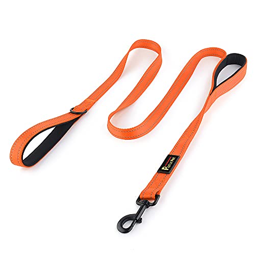 Plutus Pet Hundeleine mit Doppelgriff, strapazierfähig, reflektierend, Doppelgriff, für Sicherheitstraining, für mittelgroße und große Hunde, 2 Griffleinen, 1,2 m, Orange Plutus Pet Hundeleine mit Doppelgriff, strapazierfähig, reflektierend, Doppelgriff, für Sicherheitstraining, für mittelgroße und große Hunde, 2 Griffleinen, 1,2 m, Orange von PLUTUS PET