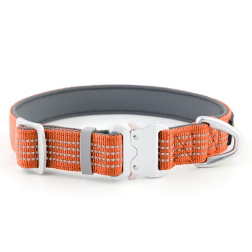 Plutus Pet Reflektierendes Hundehalsband mit Luftfahrt-Aluminiumschnalle, Neopren gepolstert für Komfort, leicht, strapazierfähiges Nylon-Halsband für Welpen, kleine, mittelgroße und große Hunde Plutus Pet Reflektierendes Hundehalsband mit Luftfahrt-Aluminiumschnalle, Neopren gepolstert für Komfort, leicht, strapazierfähiges Nylon-Halsband für Welpen, kleine, mittelgroße und große Hunde von PLUTUS PET