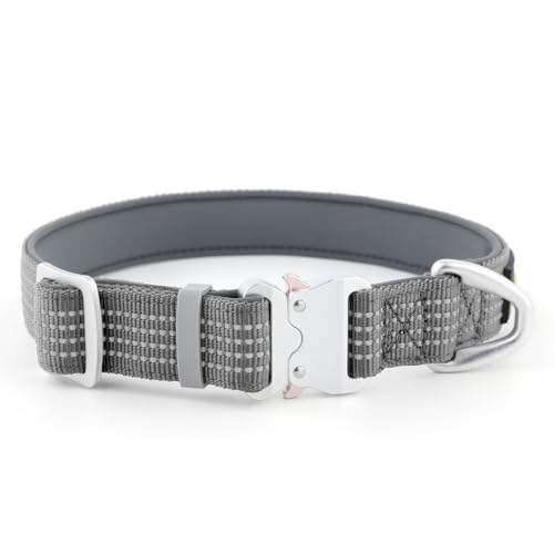 Plutus Pet Reflektierendes Hundehalsband mit Luftfahrt-Aluminiumschnalle, Neopren gepolstert für Komfort, leicht, strapazierfähiges Nylon-Halsband für Welpen, kleine, mittelgroße und große Hunde (Grau Plutus Pet Reflektierendes Hundehalsband mit Luftfahrt-Aluminiumschnalle, Neopren gepolstert für Komfort, leicht, strapazierfähiges Nylon-Halsband für Welpen, kleine, mittelgroße und große Hunde (Grau von PLUTUS PET