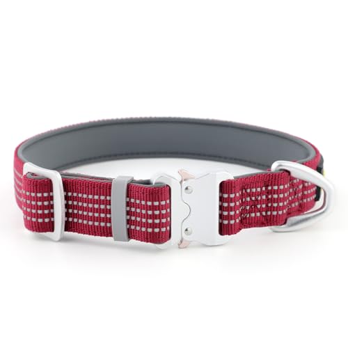 Plutus Pet Reflektierendes Hundehalsband mit Luftfahrt-Aluminiumschnalle, Neopren gepolstert für Komfort, leicht, strapazierfähiges Nylon-Halsband für Welpen, kleine, mittelgroße und große Hunde Plutus Pet Reflektierendes Hundehalsband mit Luftfahrt-Aluminiumschnalle, Neopren gepolstert für Komfort, leicht, strapazierfähiges Nylon-Halsband für Welpen, kleine, mittelgroße und große Hunde von PLUTUS PET