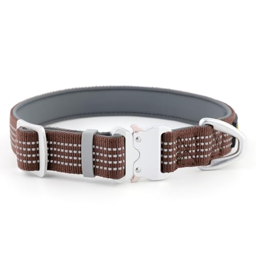 Plutus Pet Reflektierendes Hundehalsband mit Luftfahrt-Aluminiumschnalle, Neopren gepolstert für Komfort, leicht, strapazierfähiges Nylon-Halsband für Welpen, kleine, mittelgroße und große Hunde Plutus Pet Reflektierendes Hundehalsband mit Luftfahrt-Aluminiumschnalle, Neopren gepolstert für Komfort, leicht, strapazierfähiges Nylon-Halsband für Welpen, kleine, mittelgroße und große Hunde von PLUTUS PET