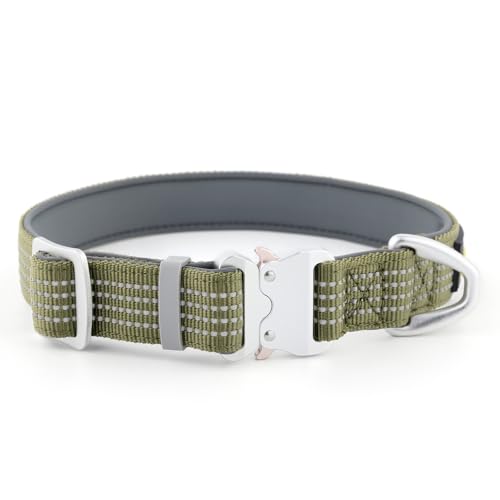 Plutus Pet Reflektierendes Hundehalsband mit Luftfahrt-Aluminiumschnalle, Neopren gepolstert für Komfort, leicht, strapazierfähiges Nylon-Halsband für Welpen, kleine, mittelgroße und große Hunde Plutus Pet Reflektierendes Hundehalsband mit Luftfahrt-Aluminiumschnalle, Neopren gepolstert für Komfort, leicht, strapazierfähiges Nylon-Halsband für Welpen, kleine, mittelgroße und große Hunde von PLUTUS PET