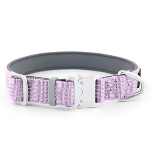Plutus Pet Reflektierendes Hundehalsband mit Luftfahrt-Aluminiumschnalle, Neopren gepolstert für Komfort, leicht, strapazierfähiges Nylonhalsband für Welpen, kleine, mittelgroße und große Hunde (Lilac Plutus Pet Reflektierendes Hundehalsband mit Luftfahrt-Aluminiumschnalle, Neopren gepolstert für Komfort, leicht, strapazierfähiges Nylonhalsband für Welpen, kleine, mittelgroße und große Hunde (Lilac von PLUTUS PET
