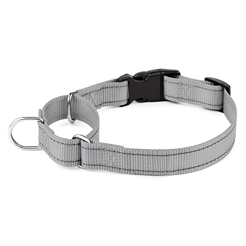 Plutus Pet Reflektierendes Martingale-Halsband mit Schnalle, strapazierfähiges und verstellbares Trainingshalsband für kein Ziehen, Hundehalsband für kleine, mittelgroße und große Hunde, Grau, XS Plutus Pet Reflektierendes Martingale-Halsband mit Schnalle, strapazierfähiges und verstellbares Trainingshalsband für kein Ziehen, Hundehalsband für kleine, mittelgroße und große Hunde, Grau, XS von PLUTUS PET