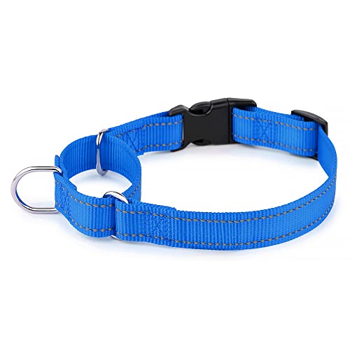 Plutus Pet Reflektierendes Martingale Halsband mit Schnalle - Strapazierfähiges und verstellbares Trainingshalsband für Kein Ziehen, Hund Choker Halsband für Kleine Mittlere Große Hunde, Königsblau, L Plutus Pet Reflektierendes Martingale Halsband mit Schnalle - Strapazierfähiges und verstellbares Trainingshalsband für Kein Ziehen, Hund Choker Halsband für Kleine Mittlere Große Hunde, Königsblau, L von PLUTUS PET