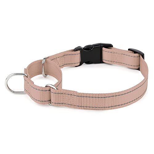 Plutus Pet Reflektierendes Martingale Halsband mit Schnalle - Strapazierfähiges und verstellbares Trainingshalsband für Kein Ziehen, Hund Choker Halsband für Kleine Mittlere Große Hunde, Beige, S Plutus Pet Reflektierendes Martingale Halsband mit Schnalle - Strapazierfähiges und verstellbares Trainingshalsband für Kein Ziehen, Hund Choker Halsband für Kleine Mittlere Große Hunde, Beige, S von PLUTUS PET