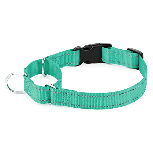 Plutus Pet Reflektierendes Martingale Halsband mit Schnalle - Strapazierfähiges und verstellbares Trainingshalsband für Kein Ziehen, Hund Choker Halsband für Kleine Mittlere Große Hunde, Blaugrün, S Plutus Pet Reflektierendes Martingale Halsband mit Schnalle - Strapazierfähiges und verstellbares Trainingshalsband für Kein Ziehen, Hund Choker Halsband für Kleine Mittlere Große Hunde, Blaugrün, S von PLUTUS PET