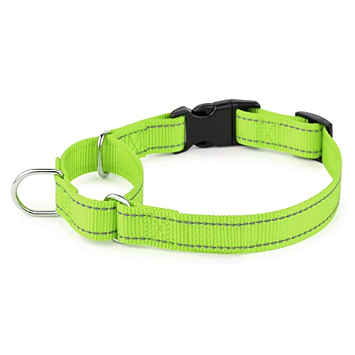 Plutus Pet Reflektierendes Martingale Halsband mit Schnalle - Strapazierfähiges und verstellbares Trainingshalsband für Kein Ziehen, Hund Choker Halsband für Kleine Mittlere Große Hunde, Hellgrün, M Plutus Pet Reflektierendes Martingale Halsband mit Schnalle - Strapazierfähiges und verstellbares Trainingshalsband für Kein Ziehen, Hund Choker Halsband für Kleine Mittlere Große Hunde, Hellgrün, M von PLUTUS PET