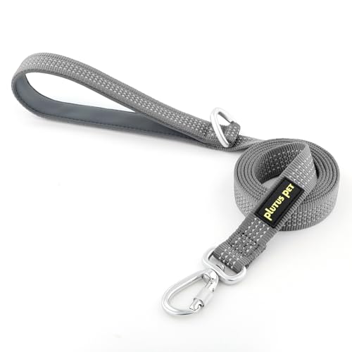 Plutus Pet Robuste Hundeleine mit abschließbarem Aluminium-Karabiner, 1,2 m lang, doppelseitiges, reflektierendes Nylon, gepolsterter Griff, für Welpen, kleine, mittelgroße und große Hunde, Grau, 1,2 Plutus Pet Robuste Hundeleine mit abschließbarem Aluminium-Karabiner, 1,2 m lang, doppelseitiges, reflektierendes Nylon, gepolsterter Griff, für Welpen, kleine, mittelgroße und große Hunde, Grau, 1,2 von PLUTUS PET