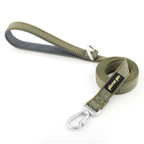 Plutus Pet Robuste Hundeleine mit abschließbarem Aluminium-Karabiner, 1,2 m lang, doppelseitiges, reflektierendes Nylon, gepolsterter Griff, für Welpen, kleine, mittelgroße und große Hunde (Ranger Plutus Pet Robuste Hundeleine mit abschließbarem Aluminium-Karabiner, 1,2 m lang, doppelseitiges, reflektierendes Nylon, gepolsterter Griff, für Welpen, kleine, mittelgroße und große Hunde (Ranger von PLUTUS PET
