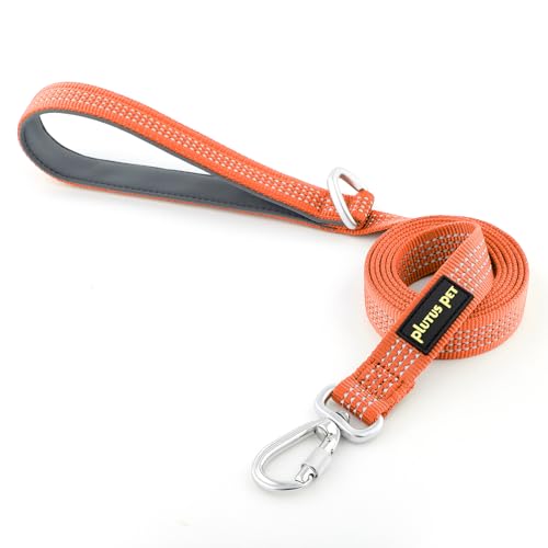 Plutus Pet Robuste Hundeleine mit abschließbarem Aluminium-Karabiner, 1,2 m lang, doppelseitiges, reflektierendes Nylon, gepolsterter Griff, für Welpen, kleine, mittelgroße und große Hunde (Orange Plutus Pet Robuste Hundeleine mit abschließbarem Aluminium-Karabiner, 1,2 m lang, doppelseitiges, reflektierendes Nylon, gepolsterter Griff, für Welpen, kleine, mittelgroße und große Hunde (Orange von PLUTUS PET