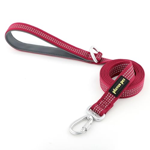 Plutus Pet Robuste Hundeleine mit abschließbarem Aluminium-Karabiner, 1,2 m lang, doppelseitiges, reflektierendes Nylon, gepolsterter Griff, für Welpen, kleine, mittelgroße und große Hunde Plutus Pet Robuste Hundeleine mit abschließbarem Aluminium-Karabiner, 1,2 m lang, doppelseitiges, reflektierendes Nylon, gepolsterter Griff, für Welpen, kleine, mittelgroße und große Hunde von PLUTUS PET