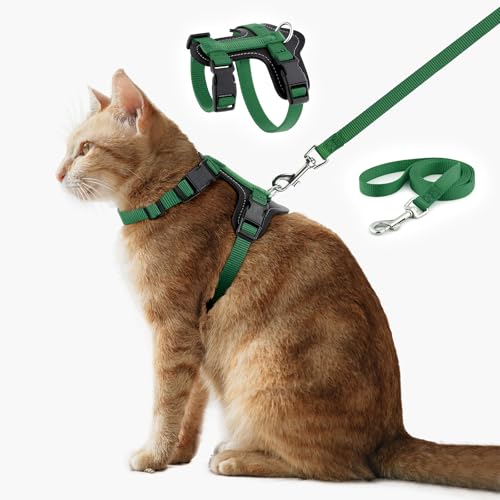 Plutus Pet Verstellbares Katzengeschirr und Leine, Schnellverschluss, ausbruchsichere Nylonweste mit Lederbesatz, für Kätzchen, kleine, mittelgroße und große Katzen, Grün Plutus Pet Verstellbares Katzengeschirr und Leine, Schnellverschluss, ausbruchsichere Nylonweste mit Lederbesatz, für Kätzchen, kleine, mittelgroße und große Katzen, Grün von PLUTUS PET