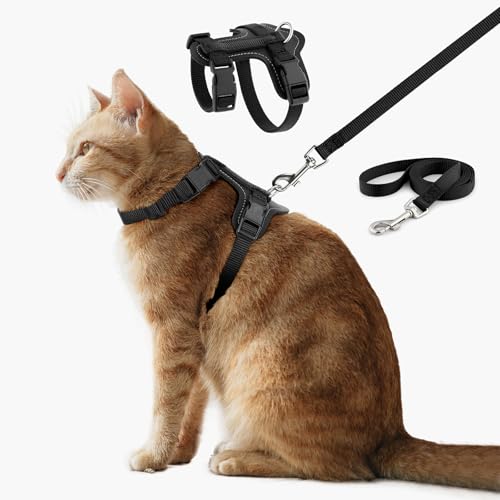 Plutus Pet Verstellbares Katzengeschirr und Leine, Schnellverschluss, ausbruchsichere Nylonweste mit Lederbesatz, für Kätzchen, kleine, mittelgroße und große Katzen, Schwarz Plutus Pet Verstellbares Katzengeschirr und Leine, Schnellverschluss, ausbruchsichere Nylonweste mit Lederbesatz, für Kätzchen, kleine, mittelgroße und große Katzen, Schwarz von PLUTUS PET