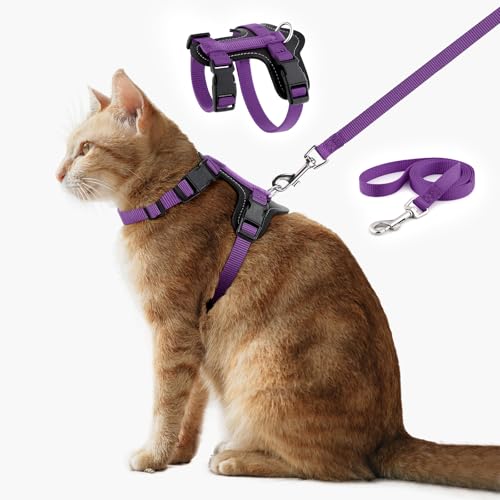 Plutus Pet Verstellbares Katzengeschirr und Leine, Schnellverschluss, ausbruchsichere Nylonweste mit Lederbesatz, für Kätzchen, kleine, mittelgroße und große Katzen, Violett Plutus Pet Verstellbares Katzengeschirr und Leine, Schnellverschluss, ausbruchsichere Nylonweste mit Lederbesatz, für Kätzchen, kleine, mittelgroße und große Katzen, Violett von PLUTUS PET