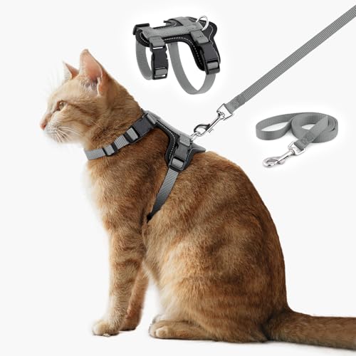 Plutus Pet Verstellbares Katzengeschirr und Leine, Schnellverschluss, ausbruchsichere Nylonweste mit Lederbesatz für Kätzchen, kleine, mittelgroße und große Katzen, Grau Plutus Pet Verstellbares Katzengeschirr und Leine, Schnellverschluss, ausbruchsichere Nylonweste mit Lederbesatz für Kätzchen, kleine, mittelgroße und große Katzen, Grau von PLUTUS PET