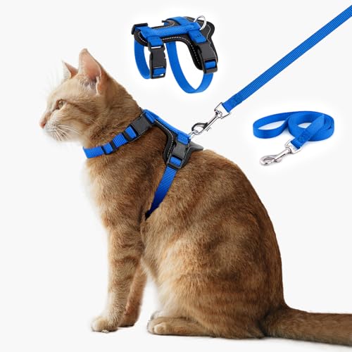 Plutus Pet Verstellbares Katzengeschirr und Leine, Schnellverschluss, ausbruchsichere Nylonweste mit Lederbesatz für Kätzchen, kleine, mittelgroße und große Katzen, Königsblau Plutus Pet Verstellbares Katzengeschirr und Leine, Schnellverschluss, ausbruchsichere Nylonweste mit Lederbesatz für Kätzchen, kleine, mittelgroße und große Katzen, Königsblau von PLUTUS PET
