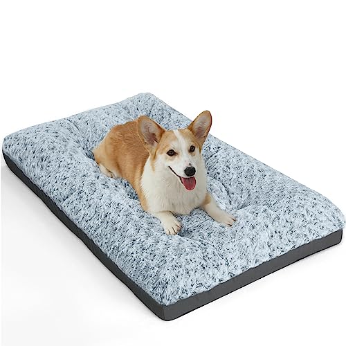 POCBLUE Waschbares Deluxe-Hundebett für mittelgroße Hunde, 76,2 cm, bequem, flauschig, rutschfest, für Hunde bis zu 18 kg, 76,2 x 48,3 cm, Grau POCBLUE Waschbares Deluxe-Hundebett für mittelgroße Hunde, 76,2 cm, bequem, flauschig, rutschfest, für Hunde bis zu 18 kg, 76,2 x 48,3 cm, Grau von POCBLUE