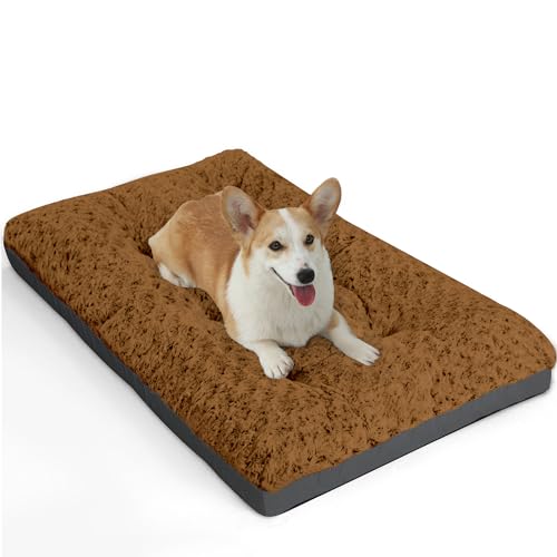 POCBLUE Waschbares Deluxe-Hundebett für mittelgroße Hunde, 76,2 cm, bequem, flauschig, rutschfest, für Hunde bis zu 18 kg, 76,2 x 48,3 cm, Braun POCBLUE Waschbares Deluxe-Hundebett für mittelgroße Hunde, 76,2 cm, bequem, flauschig, rutschfest, für Hunde bis zu 18 kg, 76,2 x 48,3 cm, Braun von POCBLUE
