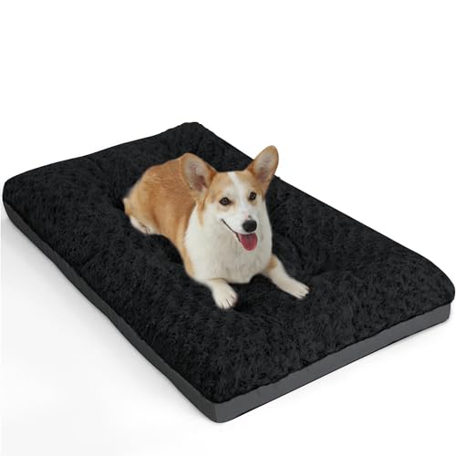 POCBLUE Waschbares Deluxe-Hundebett für mittelgroße Hunde, 76,2 cm, bequem, flauschig, rutschfest, für Hunde bis zu 18 kg, 76,2 x 48,3 cm, Schwarz POCBLUE Waschbares Deluxe-Hundebett für mittelgroße Hunde, 76,2 cm, bequem, flauschig, rutschfest, für Hunde bis zu 18 kg, 76,2 x 48,3 cm, Schwarz von POCBLUE