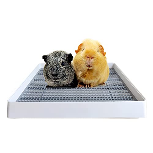 PODOO Große Katzentoilette, Meerschweinchen-Trainingskäfig mit WC-Tablett, ideal für Ratten, Hamster, Frettchen, Häschen, kleine und mittelgroße Tiere, 38,1 x 30,5 x 7,6 cm (Medium) von PODOO