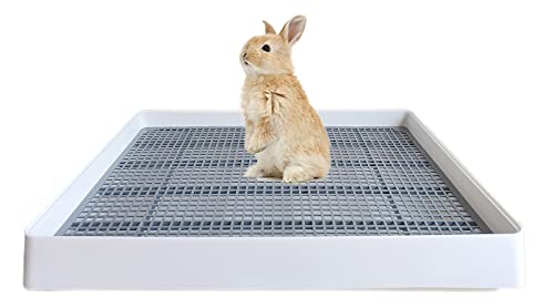 PODOO Große Katzentoilette, Meerschweinchen-Trainingskäfig mit WC-Tablett, ideal für Ratten, Hamster, Frettchen, Häschen für kleine und mittelgroße Tiere, 55,9 x 45,7 x 7,6 cm PODOO Große Katzentoilette, Meerschweinchen-Trainingskäfig mit WC-Tablett, ideal für Ratten, Hamster, Frettchen, Häschen für kleine und mittelgroße Tiere, 55,9 x 45,7 x 7,6 cm von PODOO