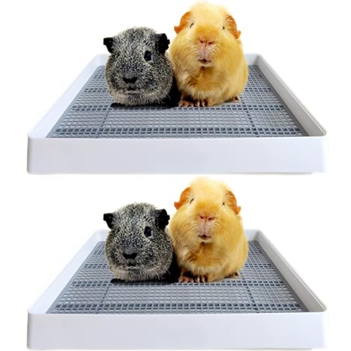 PODOO Katzentoilette für Kaninchen, Meerschweinchen, mit WC-Ablage, ideal für Ratten, Hamster, Frettchen, Hasen, kleine und mittelgroße Tiere (2 x mittelgroß) von PODOO