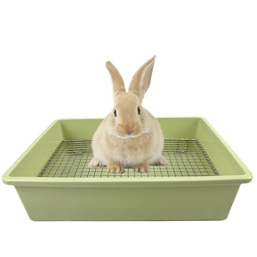 Verbesserte große und mittlere Katzentoilette für Kaninchen und Meerschweinchen, ideal für Kaninchen, Frettchen und kleine Haustiere, hohe Kapazität, Käfig-WC-WC-WC-Wanne mit erhöhtem Gitter und Verbesserte große und mittlere Katzentoilette für Kaninchen und Meerschweinchen, ideal für Kaninchen, Frettchen und kleine Haustiere, hohe Kapazität, Käfig-WC-WC-WC-Wanne mit erhöhtem Gitter und von PODOO