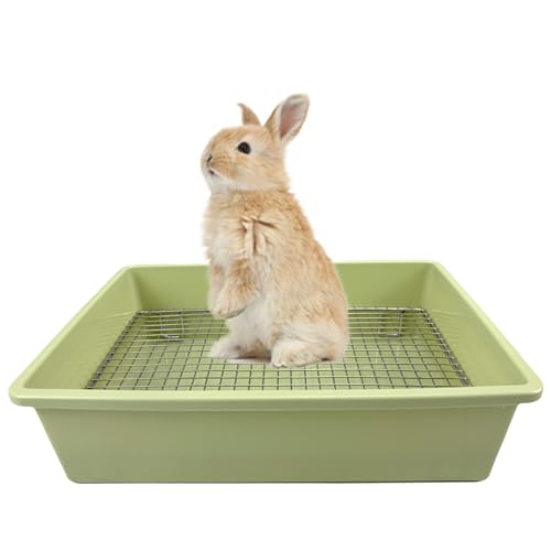 Verbesserte große und mittlere Katzentoilette für Kaninchen und Meerschweinchen – Hochkapazitätskäfig-Toilettenwanne mit erhöhtem Gitter und niedrigem Einstieg-Design, ideal für Kaninchen, Frettchen Verbesserte große und mittlere Katzentoilette für Kaninchen und Meerschweinchen – Hochkapazitätskäfig-Toilettenwanne mit erhöhtem Gitter und niedrigem Einstieg-Design, ideal für Kaninchen, Frettchen von PODOO