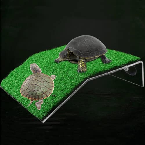 POFUIERKN Schildkröten-Plattform mit Rasen, Schildkrötenrampe, Reptilienleiter, für kleine Reptilien von POFUIERKN