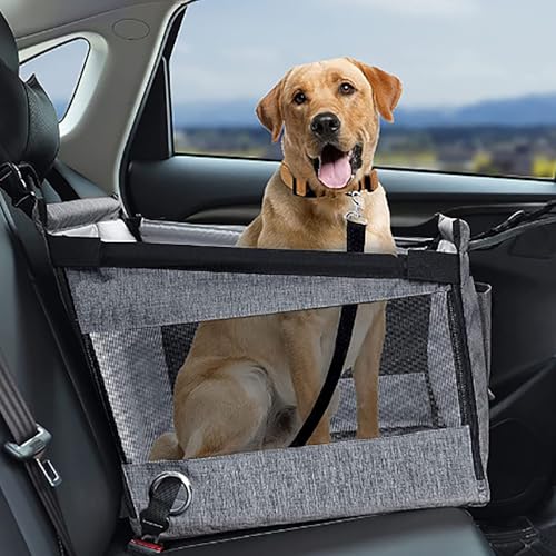 Haustier Autositz für Citroen AMI Berlingo C Crosser C Elysee C1 C2 C3 C3 XR C4 C5 C5 Aircross, für Kleine und Mittlere Hunde, Verdickter Hundeautositz Hunde Sitzerhöhung Hundebett Reisesitz Haustier Autositz für Citroen AMI Berlingo C Crosser C Elysee C1 C2 C3 C3 XR C4 C5 C5 Aircross, für Kleine und Mittlere Hunde, Verdickter Hundeautositz Hunde Sitzerhöhung Hundebett Reisesitz von POIBNZ