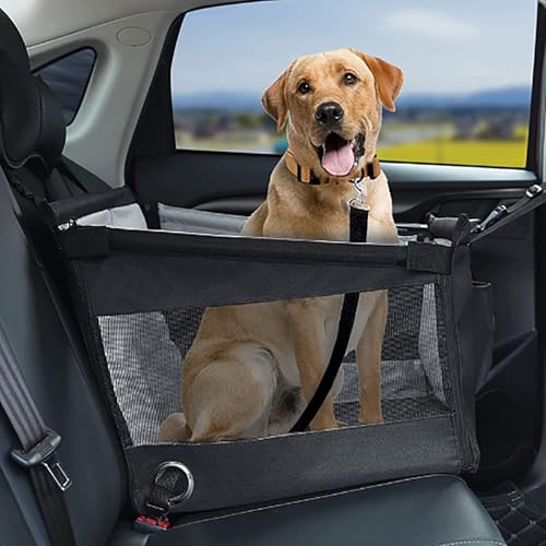 Haustier Autositz für Citroen AMI Berlingo C Crosser C Elysee C1 C2 C3 C3 XR C4 C5 C5 Aircross, für Kleine und Mittlere Hunde, Verdickter Hundeautositz Hunde Sitzerhöhung Hundebett Reisesitz Haustier Autositz für Citroen AMI Berlingo C Crosser C Elysee C1 C2 C3 C3 XR C4 C5 C5 Aircross, für Kleine und Mittlere Hunde, Verdickter Hundeautositz Hunde Sitzerhöhung Hundebett Reisesitz von POIBNZ