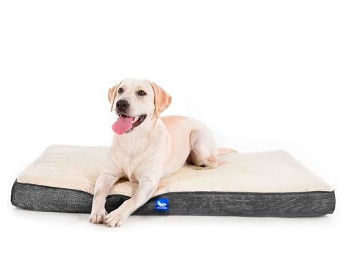 POLIPETS Orthopädisches Hundebett, Memory-Schaum, beidseitig verwendbar, waschbar, abnehmbarer Bezug, Größe XL, 104 x 81 cm POLIPETS Orthopädisches Hundebett, Memory-Schaum, beidseitig verwendbar, waschbar, abnehmbarer Bezug, Größe XL, 104 x 81 cm von POLIPETS