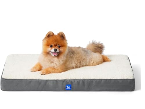 POLIPETS Orthopädisches Hundebett, Memory-Schaum, beidseitig waschbar, abnehmbar, Größe S, 50,8 x 38,1 cm POLIPETS Orthopädisches Hundebett, Memory-Schaum, beidseitig waschbar, abnehmbar, Größe S, 50,8 x 38,1 cm von POLIPETS