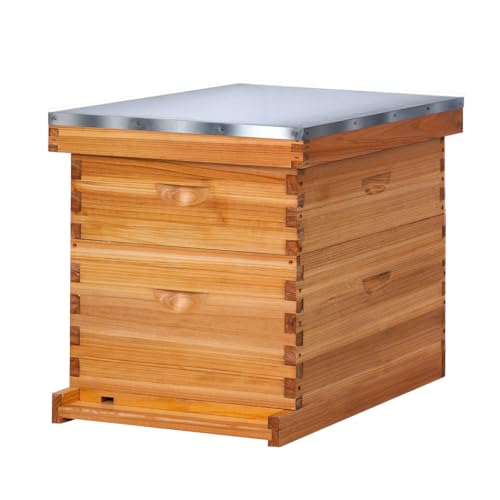 10 Rahmen Bienenstock Komplettes Bienenstock-Set, Honigbienenenstöcke inklusive 1 tiefe Bienenboxen, 1 Bienenstock Super mit Bienenstockrahmen und Foundation von POLLIBEE