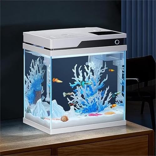 PONDON Smart Fish Tank 12,7 l, kleines Beta-Fisch-Aquarium-Set mit automatischem Futterspender, Glas-Kampffischbecken mit Filter und Licht (1,2 l Weiß) von PONDON