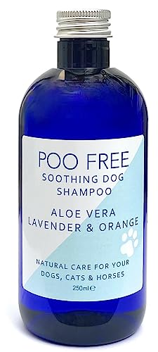 POO FREE 99% Natürlich BERUHIGEND Hunde Shampoo Mit Aloe Vera, ORANGE & LAVANDEL - 250ml Sulfat, Ohne Silikon, Ohne Parabene. Konzentriert, Beruhigt, Hydratisiert, Lindert Juckreiz. von POO FREE
