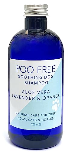99% Natürlich BERUHIGEND Hunde Shampoo Mit Aloe Vera, ORANGE & LAVANDEL - 250ml - von POO FREE. Ohne Sulfat, Ohne Silikon, Ohne Parabene. Konzentriert, Beruhigt, Hydratisiert, Lindert Juckreiz. 99% Natürlich BERUHIGEND Hunde Shampoo Mit Aloe Vera, ORANGE & LAVANDEL - 250ml - von POO FREE. Ohne Sulfat, Ohne Silikon, Ohne Parabene. Konzentriert, Beruhigt, Hydratisiert, Lindert Juckreiz. von POO FREE