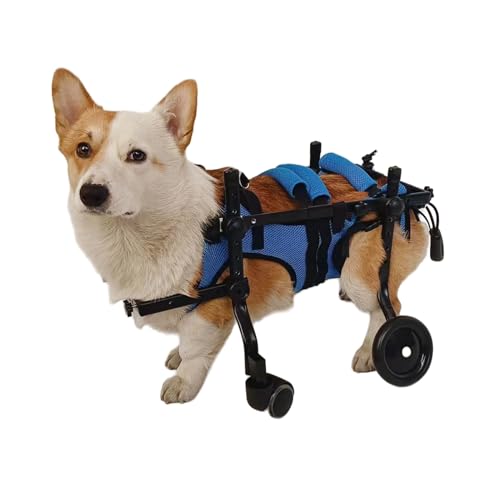 Hunderollstuhl, Verstellbarer Rollstuhl für Die Hinterbeine Von Hunden, Leichter Hunderollstuhl Aus Aluminium für Behinderungen Der Hinterbeine, Lähmungen, Verletzungen und Schwäche Der Bei Haustieren von POOLPO