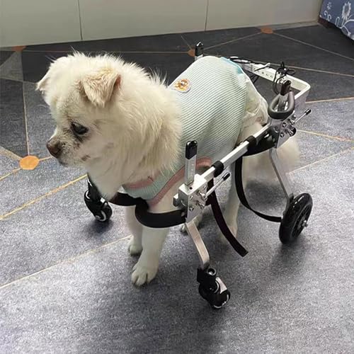 POOLPO Hunderollstuhl für Hinterbeine, Leichter Hunderollstuhl Aus Aluminium, Verstellbarer Rollstuhl für Hunde mit Behinderten Hinterbeinen Beim Gehen (Size : M Long Leg Style) von POOLPO