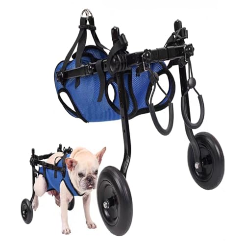 POOLPO Verstellbarer Hunderollstuhl Aus Aluminium, Haustierrollstuhl mit 2 Rädern, Leichter Hundehinterbeinrollstuhl Als Mobilitätshilfe für Behinderte Haustiere (Size : M) von POOLPO