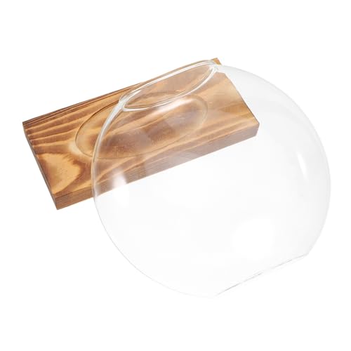 POPETPOP Hydrokultur-vase Aus Glas Mit Holzsockel Transparentes Glasterrarium Für Pflanzen Kreative Anzuchtstation Für Zimmerpflanzen Tischanzuchtpflanzgefäß von POPETPOP