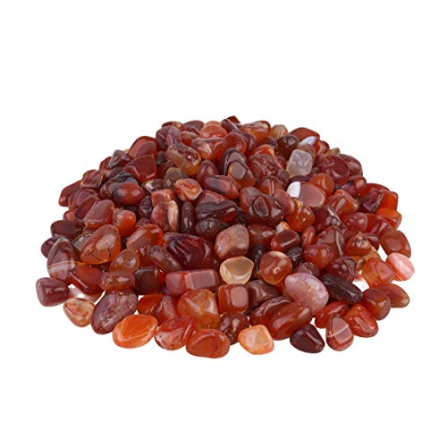 POPETPOP Aquarium- 500 G Rote Aquarium-Steine Ornamente Für Süßwasser Sicher Für Landschaftssteine POPETPOP Aquarium- 500 G Rote Aquarium-Steine Ornamente Für Süßwasser Sicher Für Landschaftssteine von POPETPOP
